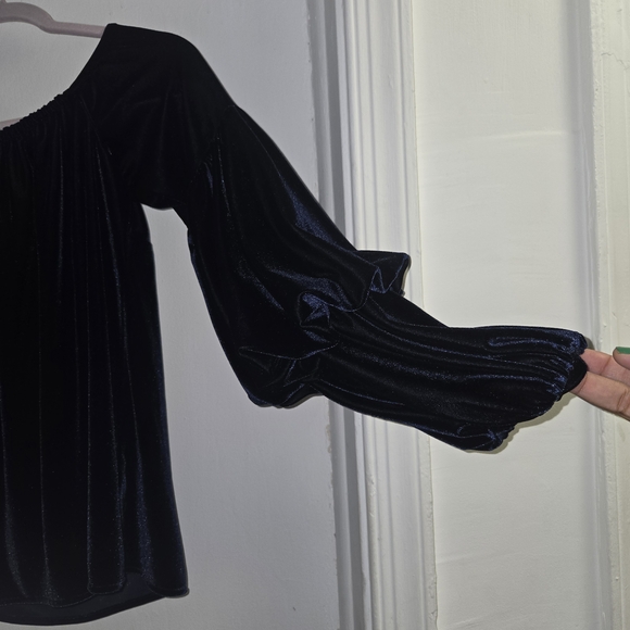 Petersyn Midnight Blue Velvet- Womens Blouse Size M - Picture 4 of 12